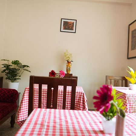 Mother Tree Inn Kochi Exterior photo